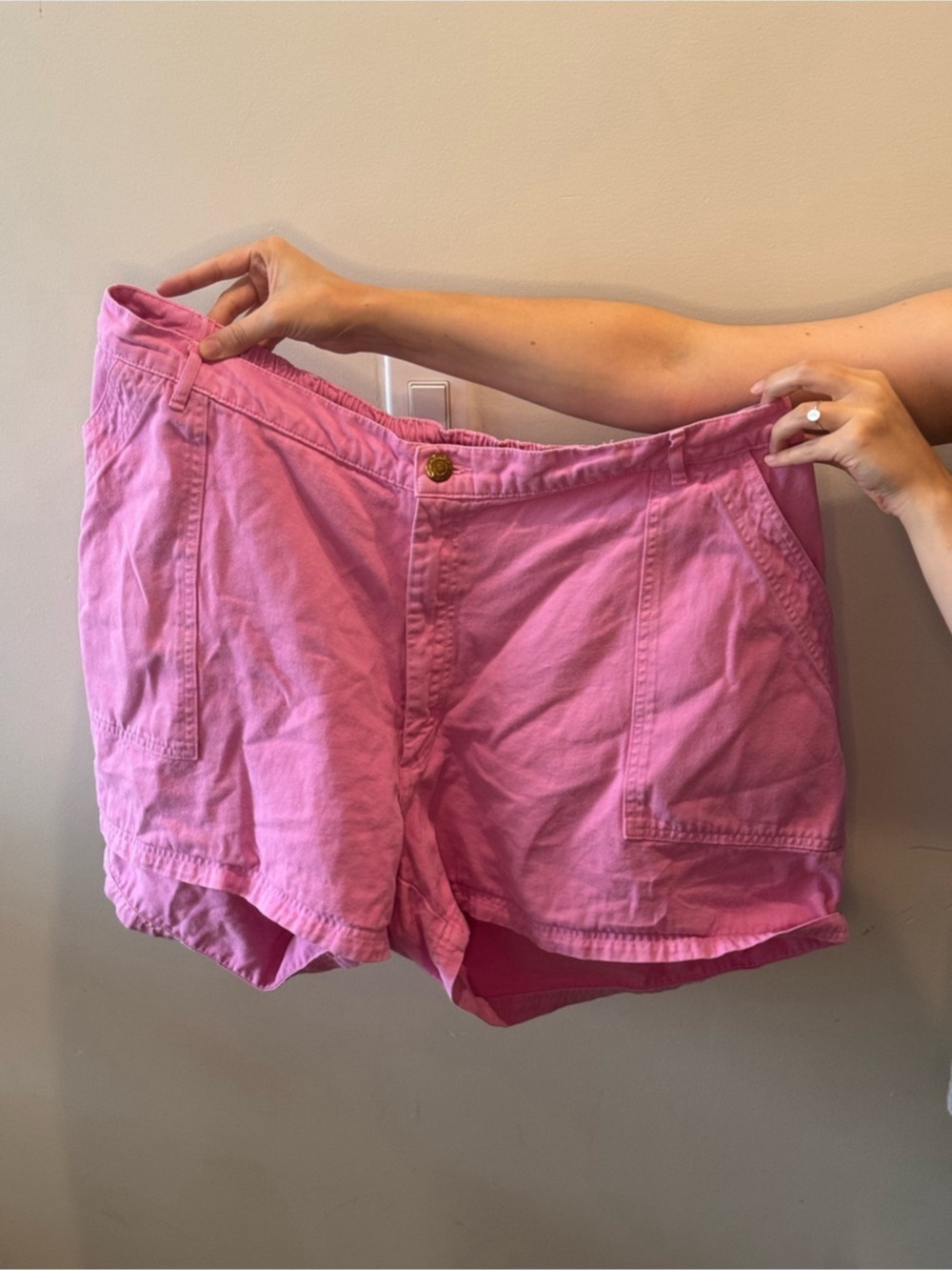 Big Bud Press Work Pant Shorts in Pink Size 3XL